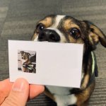 Barketing team member