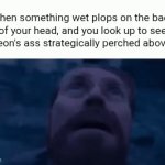 And then it looks down at you with glee... | When something wet plops on the back of your head, and you look up to see a pigeon's ass strategically perched above you | image tagged in gifs,is this a pigeon,dafoe looking up,plop | made w/ Imgflip video-to-gif maker