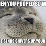 Satisfied Seal | WHEN YOU POOPED SO WELL; THAT IT SENDS SHIVERS UP YOUR SPINE | image tagged in memes,satisfied seal | made w/ Imgflip meme maker