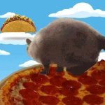 pizza taco cat failed jump GIF Template