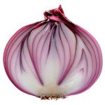 Onion half