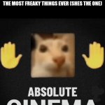 its her | WHEN SHE SAYS SM FREAKY SO YOU COUNTER IT WITH SM MORE FREAKY THEN SHE COUNTER BACKS WITH ON OF THE MOST FREAKY THINGS EVER (SHES THE ONE) | image tagged in absolute cenima,true | made w/ Imgflip meme maker