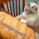 so hungry at 3am | my "midnight snack"; me | image tagged in cat with bread,3am,hungry,midnight snack,memes,baugette | made w/ Imgflip meme maker
