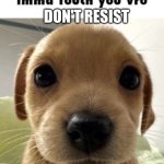true tho | DON'T RESIST | image tagged in imma touch you,funny | made w/ Imgflip meme maker