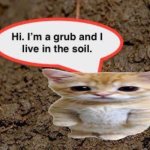 upvote tge cat | image tagged in grub | made w/ Imgflip meme maker