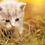 Pov... you are a POV! template