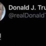 Donald trump saying true