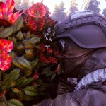 Active matter - Meeting of minds