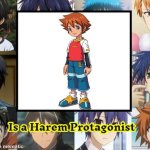 Who is a harem protagonist ?