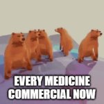 dancing bears | EVERY MEDICINE COMMERCIAL NOW | image tagged in gifs,bear | made w/ Imgflip video-to-gif maker