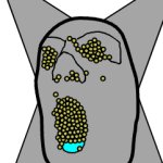 tridotron pea face meme