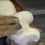 Clay Mexican Fair Rides