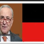 Sen. Chuck Schumer template