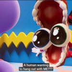 A human wanting to hang out with me