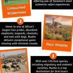 Ruaha National Park