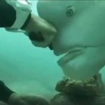 Fish and Diver GIF Template