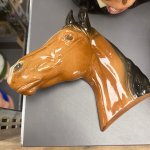 Horse Reaction