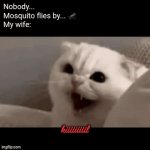 .... | Nobody...
Mosquito flies by... 🦟 
My wife: | image tagged in gifs,kiiiiiiiiil,mosquito | made w/ Imgflip video-to-gif maker