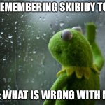 ..why do we do this.. | ME REMEMBERING SKIBIDY TOILET; ME: WHAT IS WRONG WITH ME.. | image tagged in kermit window | made w/ Imgflip meme maker