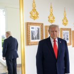 Donald Trump President Diaper Butt Depends Stinky