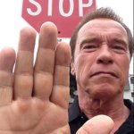 Arnold Stop
