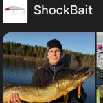 shock bait