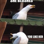 Inhaling Seagull | MEET A GIRL; SHE BLUSHES; YOU LIKE HER; ASKS FOR YOUR NUMBER | image tagged in memes,inhaling seagull | made w/ Imgflip meme maker