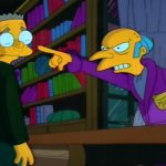 Mr burns mad