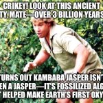 It’s fossilized algae that helped make Earth’s first oxygen—now that’s ancient science! | CRIKEY! LOOK AT THIS ANCIENT BEAUTY, MATE—OVER 3 BILLION YEARS OLD! TURNS OUT KAMBABA JASPER ISN’T EVEN A JASPER—IT’S FOSSILIZED ALGAE THAT HELPED MAKE EARTH’S FIRST OXYGEN! | image tagged in crocodile hunter steve irwin,crystal,history,science,oxygen,evolution | made w/ Imgflip meme maker
