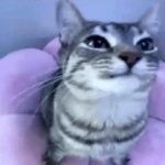 i skin little kids alive