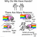 Contributing to the great meme reset | Nyan cat; Nyan cat; Nyan cat; Nyan cat | image tagged in why do we have hands all blank | made w/ Imgflip meme maker