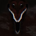 How *insert thing here* looks at you