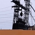 Divebomber Bird meme