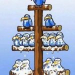 birds shirt ladder