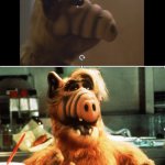 Alf Drake Alternate
