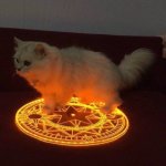 Cat Summoning Circle Orange