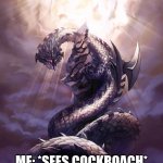 the cockroach | MOM: HEY CAN YOU COME KILL THIS COCKROACH; ME: *SEES COCKROACH* WERE GOING TO NEED A BIGGER FLYSWATTER | image tagged in monster hunter dalamandur | made w/ Imgflip meme maker