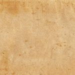 Blank beige parchment resume' paper