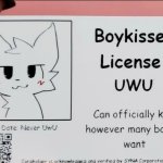 Boykisser license