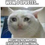 Title. Be happy. | WOW, 0 UPVOTES... NOT LIKE THIS HAPPENS EVERY DAY OR SOMETHING... | image tagged in crying cat,upvotes,every day | made w/ Imgflip meme maker