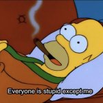 Everyone else is stupid homer