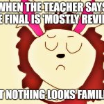 Eliza The Rabbit Not Impressed | WHEN THE TEACHER SAYS THE FINAL IS 'MOSTLY REVIEW'; BUT NOTHING LOOKS FAMILIAR | image tagged in eliza the rabbit not impressed | made w/ Imgflip meme maker