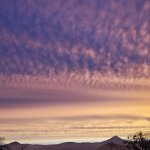 Finding your purpose