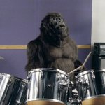 Drum Gorilla