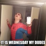 I'm late but it's still Wednesday! | IT IS WEDNESDAY MY DUDES | image tagged in it's wednesday my dudes | made w/ Imgflip meme maker