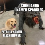 dog vs werewolf | CHIHUAHUA NAMED SPARKLES; PITBULL NAMED

FLESH RIPPER | image tagged in dog vs werewolf,chihuahua,pitbull | made w/ Imgflip meme maker