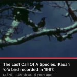 The Last Call Of A Species. Kaua'i 'o'o bird recorded in 1987.
