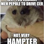 hampter | WHY YOU ENSLAVE MEH PEPOLE TO DRIVE CER; NOT VERY | image tagged in hampter | made w/ Imgflip meme maker