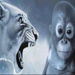 Lion yelling at monkey