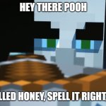 Pillager | HEY THERE POOH; IT'S SPELLED HONEY, SPELL IT RIGHT, OR ELSE | image tagged in pillager | made w/ Imgflip meme maker